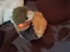 Immagine 2