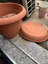 Vaso diametro 31 h 28