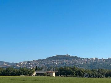Settimana ad Assisi