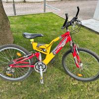 Mountain Bike da ragazzo/a cerchio 24