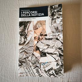 Carlo Sorrentino - I percorsi della notizia