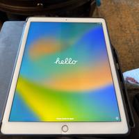 iPad Pro 13' 2th Gen 256 Gb