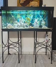 Acquario completo di tutto e funzionante. 