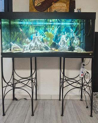 Acquario completo di tutto e funzionante. 