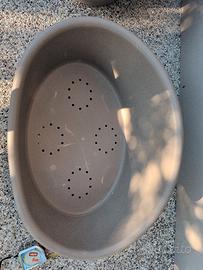 cuccia / ciotola