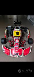 go kart rotax 