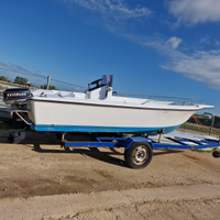Open tonnetto 550 + evinrude 521