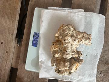 Rocce morte 20kg