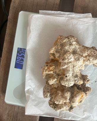 Rocce morte 20kg