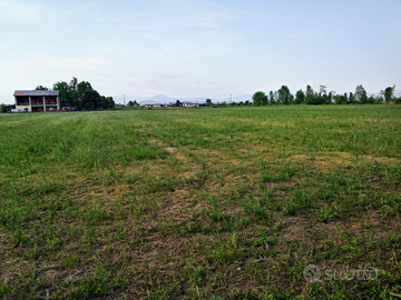 Terreno agricolo zona bassa bresciana