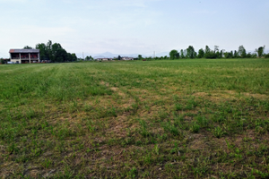 Terreno agricolo zona bassa bresciana