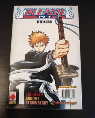 Bleach vol. 1
