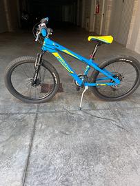 Mountain Bike  MTB bicicletta Lombardo 24