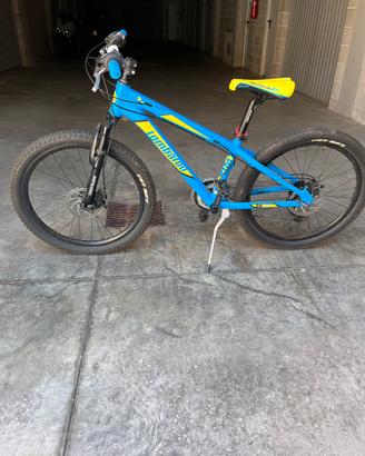Mountain Bike  MTB bicicletta Lombardo 24