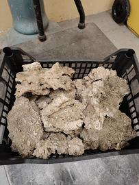 Rocce acquario marino