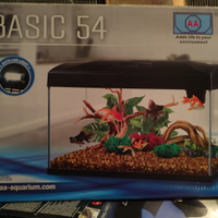 Acquario basic 54