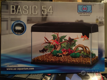 Acquario basic 54