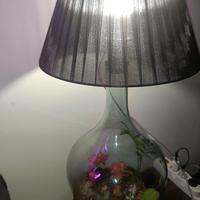 Scopri la Magia della Lampada Terrarium Ecososteni