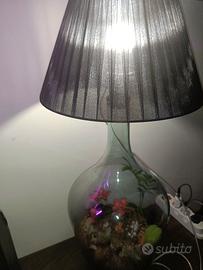 Scopri la Magia della Lampada Terrarium Ecososteni