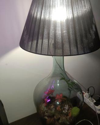 Scopri la Magia della Lampada Terrarium Ecososteni