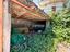 Immagine 22