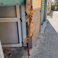 Marmitta Auto Epoca Fiat 