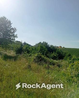 Terreno di 25200 m² a San Damiano al Colle
