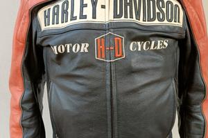 Giacca Harley Davidson da uomo