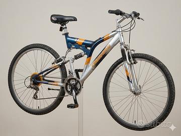 bicicletta