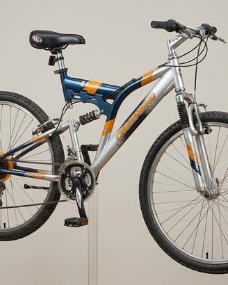 bicicletta