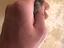 Immagine 2