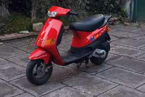 ZIP FAST RIDER