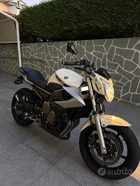 Yamaha XJ 600 - 2011 (Depotenziata per A2)