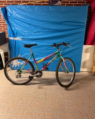 Bicicletta donna