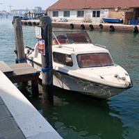 Cranchi c6