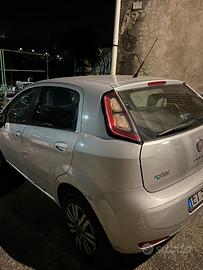 Punto evo natural power