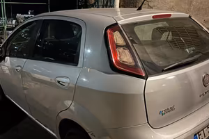 Punto evo natural power