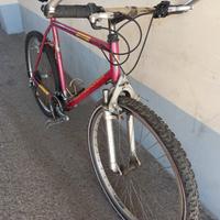 bici 26"uomo/donna 