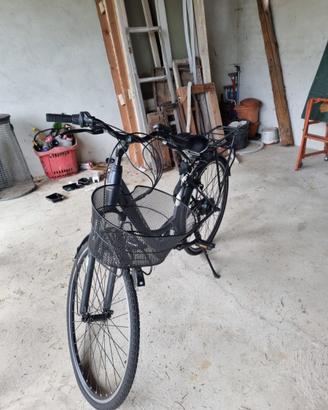 Bicicletta elettrica