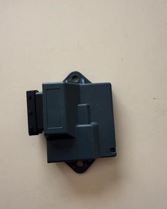 Centralina moto per motori am6 euro 4-5