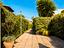 Immagine 20