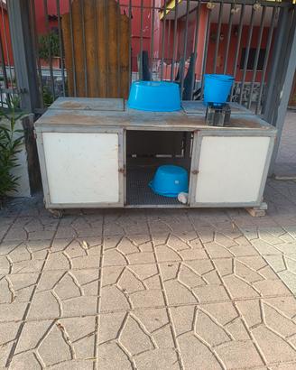 pollaio