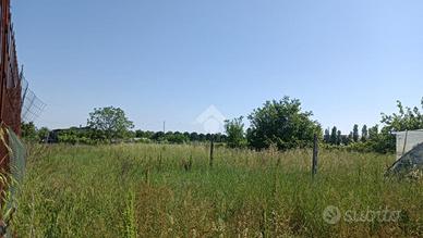 TER. AGRICOLO A LONGIANO