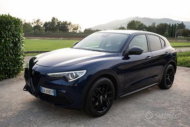 Alfa Romeo Stelvio 2020 2.2 t rwd 160cv auto