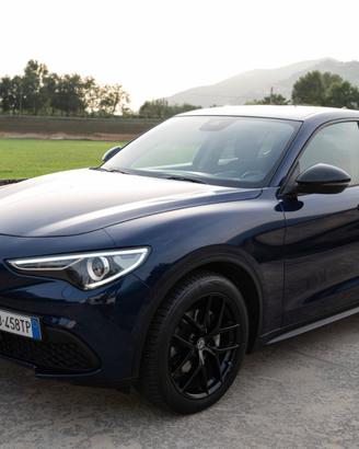 Alfa Romeo Stelvio 2020 2.2 t rwd 160cv auto