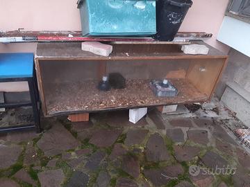 teca rettili