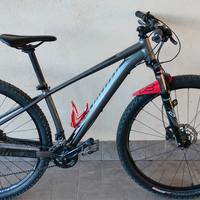 MTB    Specialized