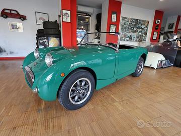 Austin Healey Altro Sprite 1000 MKI “frogeye” ( 19