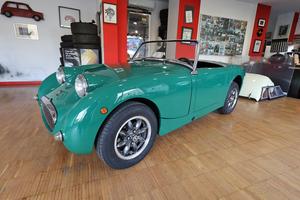 Austin Healey Altro Sprite 1000 MKI “frogeye” ( 19