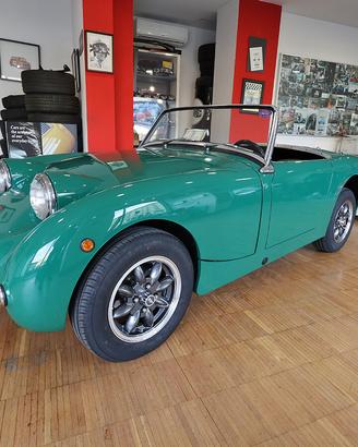 Austin Healey Altro Sprite 1000 MKI “frogeye” ( 19